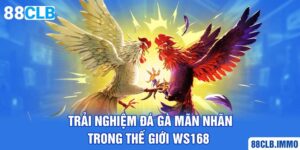 trai-nghiem-da-ga-man-nhan-trong-the-gioi-ws168