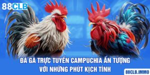 da-ga-truc-tuyen-campuchia-an-tuong-voi-nhung-phut-kich-tinh