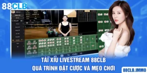 tai-xiu-livestream-88clb-qua-trinh-dat-cuoc-va-meo-choi