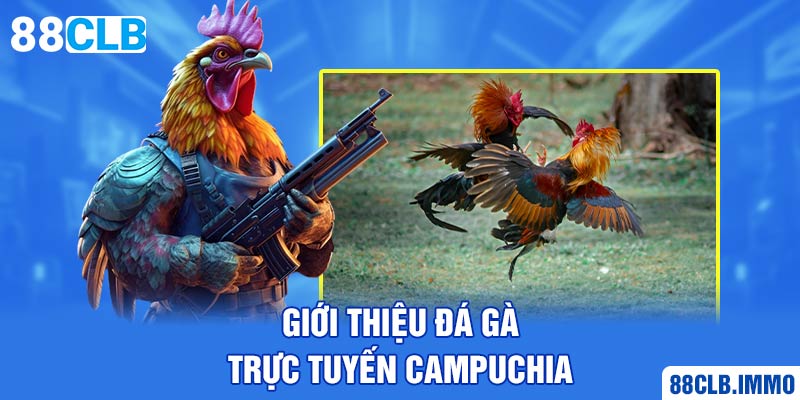 gioi-thieu-da-ga-truc-tuyen-campuchia