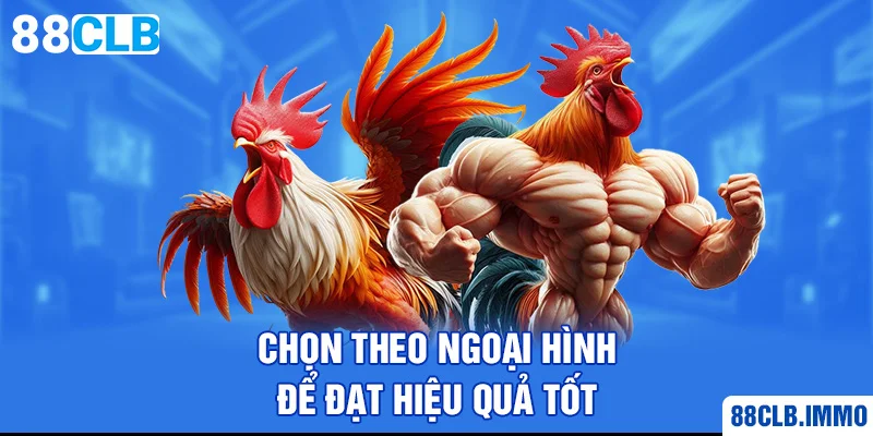 chon-theo-ngoai-hinh-de-dat-hieu-qua-tot