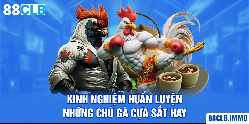 kinh-nghiem-huan-luyen-nhung-chu-ga-cua-sat-hay