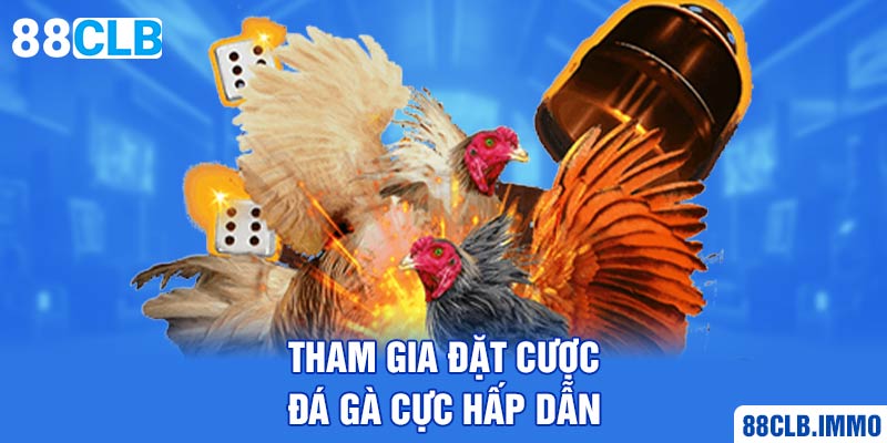 tham-gia-dat-cuoc-da-ga-cuc-hap-dan