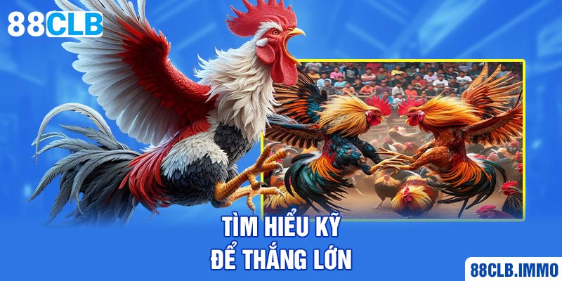 tim-hieu-ky-de-thang-lon